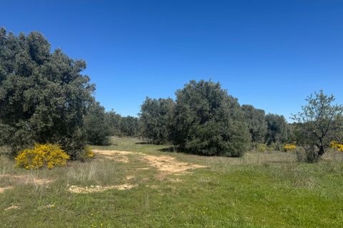 Villa i Calaceite, Teruel, Calaceite - € 220.000 | Ref: faha Sant pol - foto 26